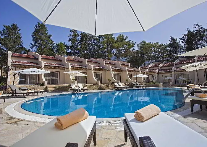 Le Chateau Lambousa Лапитос