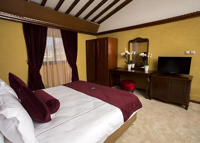 ホテル Le Chateau Lambousa ラピソス